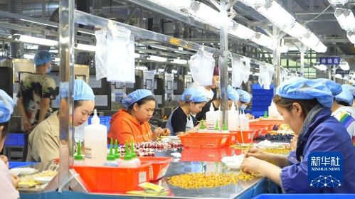 產(chǎn)業(yè)引領(lǐng) 繪就強村富民新畫卷——廣播電視節(jié)目制作經(jīng)營的鄉(xiāng)村賦能之路